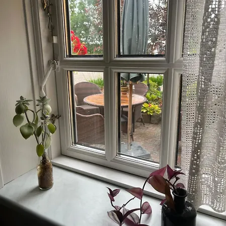 Alvaera Misionssenter Sommerhotel Lavik (Sogn og Fjordane)